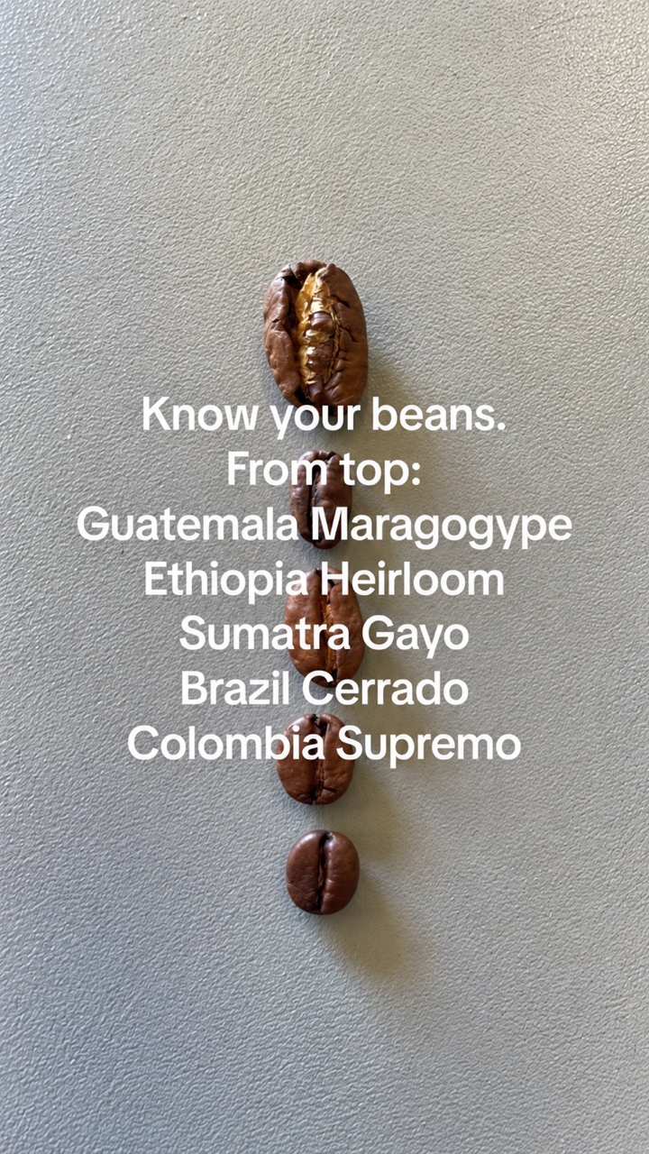 Five coffee beans arranged by size from top: Guatemala Maragogype, Ethiopia Heirloom, Sumatra Gayo, Brazil Cerrado, Colombia Supremo